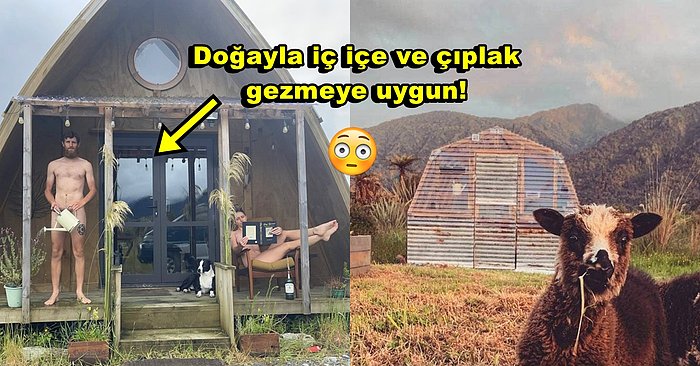 Görülmemiş Satış Stratejisi: İlgi Çekebilmek İçin Satılık Ev İlanı Fotoğraflarında Evde Çıplak Poz Veren Çift