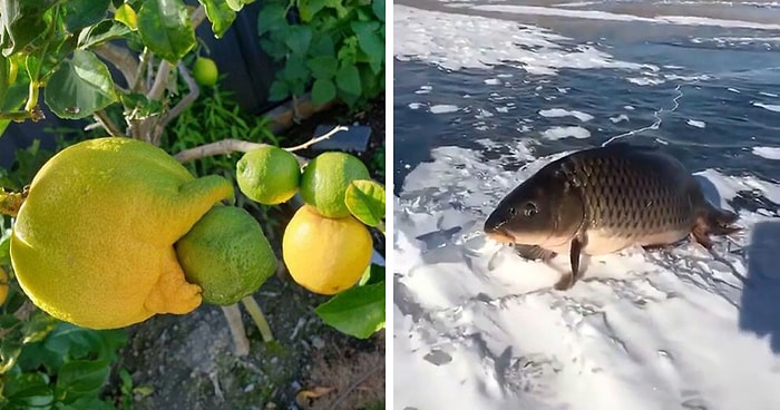 Странно ужасающие: 20 самых тревожных фото, которые вызовут у вас мурашки