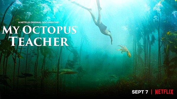 5. My Octopus Teacher / Ahtapottan Öğrendiklerim (2020) IMDb: 8.1