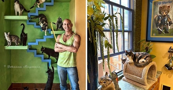 Мужчина спроектировал идеальный дом для своих 20 c лишним спасенных кошек