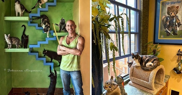 Мужчина спроектировал идеальный дом для своих 20 c лишним спасенных кошек