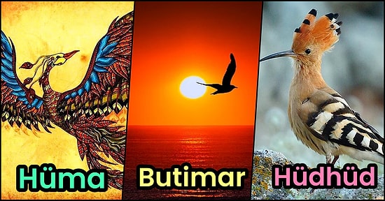 Onların Hikayelerini Okurken Çok Duygulanacaksınız! Efsanelerde ve Mitolojide Karşılaştığımız 10 Efsanevi Kuş