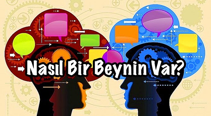 Bu Görsel Algı Testine Göre Nasıl Bir Beynin Var?