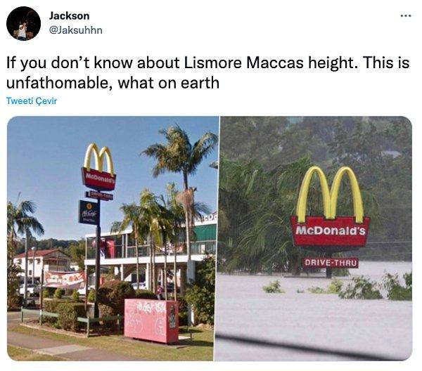 2. "Lismore Maccas'ın yüksekliğini bilmiyorsanız. Bu inanılmaz."