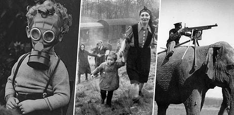 İkinci Dünya Savaşında Yaşananları Derinden Hissetmenizi Sağlayacak 16 Sıra Dışı Fotoğraf