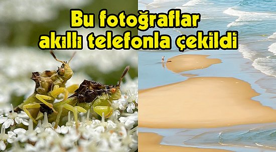 Telefonla Çekilen Fotoğrafların Ödüllendirildiği Mobil Fotoğrafçılık Ödülleri 2022'nin Kazananı 25 Fotoğraf