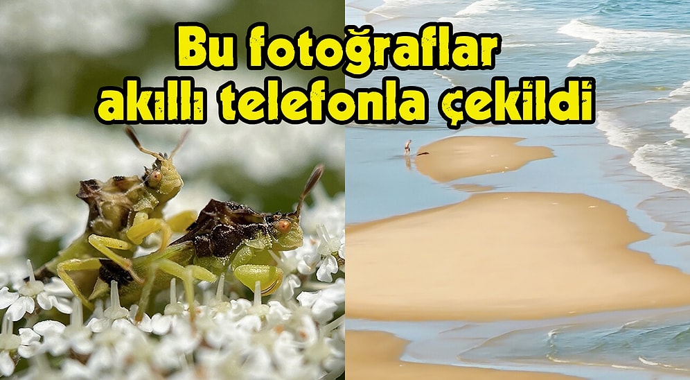 Telefonla Çekilen Fotoğrafların Ödüllendirildiği Mobil Fotoğrafçılık Ödülleri 2022'nin Kazananı 25 Fotoğraf