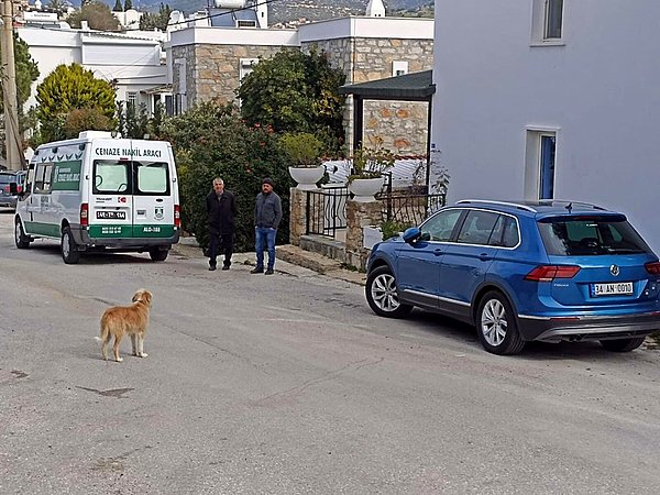 Açın'ın Luci isimli köpeği de sanatçının evinin ve aracının yanından ayrılmadı.