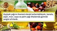 Ayçiçek Yağının İkamesi Olabilecek Mısır, Kanola, Aspir, Soya ve Palm Yağlarının Faydaları ve Zararları