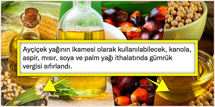 Ayçiçek Yağının İkamesi Olabilecek Mısır, Kanola, Aspir, Soya ve Palm Yağlarının Faydaları ve Zararları