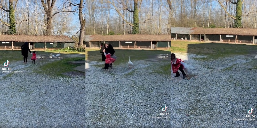 Gülsek mi Ağlasak mı? Kendilerini Kovalayan Kazdan Kaçarken Kızını Yere Düşüren Annenin Viral Olan Anları