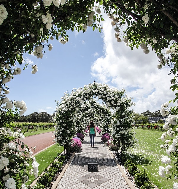 19. Маргарет Ривер, Австралия