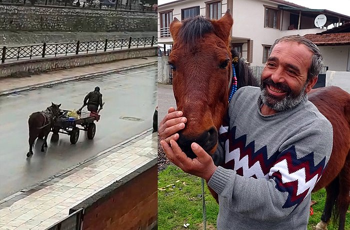 Birlikte Hurda Topladığı Atı Yorulunca Hurda Arabasını Kendisi Çeken Adam: 'Yorulunca Kıyamadım'