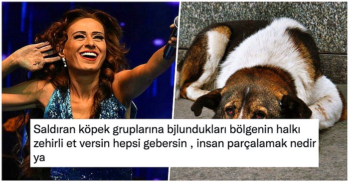 Sokakta Yaşayan Sahipsiz Köpeklerin Zehirlenip Öldürülmesini İsteyen Yıldız Tilbe Eleştirilerin Odağında!