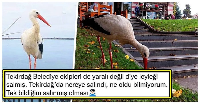 Bitkin Düştüğü İçin Yıllarca Göç Edemeyen ve Tekirdağ Esnafıyla Yaşayan Yaşar Leylek'in İlginç Hikayesi