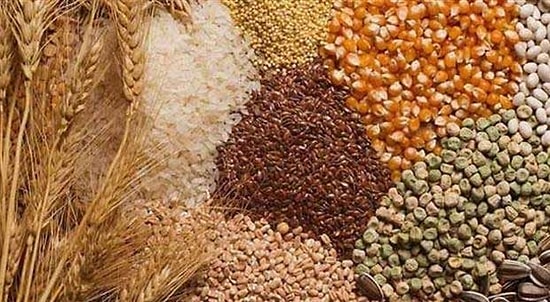 TMO'dan Hububat İhaleleri: Kaç Ton Buğday Alınması Planlanıyor?