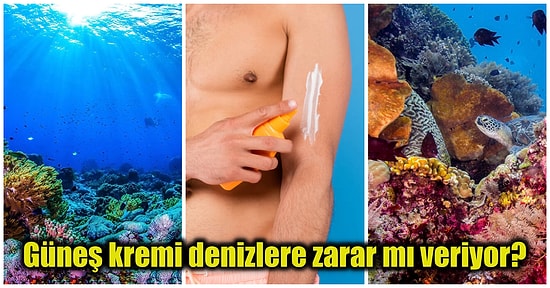 Cilt Sağlığımızı Korumak İçin Sürdüğümüz Güneş Kremleri Deniz Ekosistemleri İçin Zararlı mıdır?