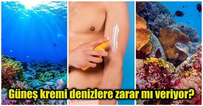 Cilt Sağlığımızı Korumak İçin Sürdüğümüz Güneş Kremleri Deniz Ekosistemleri İçin Zararlı mıdır?