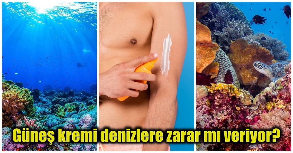 Cilt Sağlığımızı Korumak İçin Sürdüğümüz Güneş Kremleri Deniz Ekosistemleri İçin Zararlı mıdır?