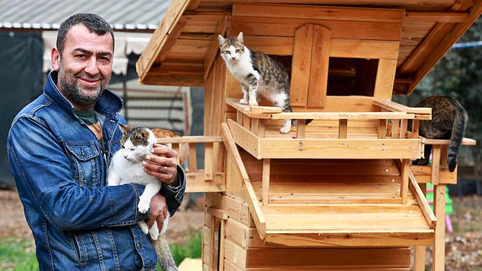 Hayvanlar İçin Topladığı Paraları Cebine İndiren Dernek Başkanına Hapis Cezası