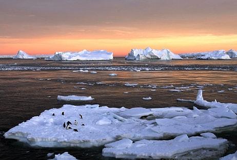 🌍 Gezegenimizin İklimi Çöküyor: Kutuplardaki Sıcaklık Mart Ayında "Sıra Dışı" Şekilde Arttı!