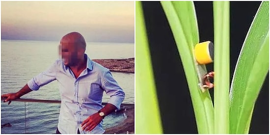 5 Yıl Hapis İstemi: Sevgilisine Mobbing Yapan Müdürü Casus Mikrofonlu Çiçekle Dinledi