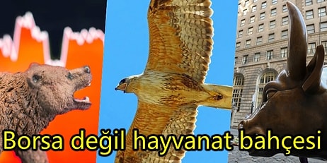 Finans Piyasalarının ve Ekonominin Hayvanat Bahçesinde Gezintiye Var mısınız?