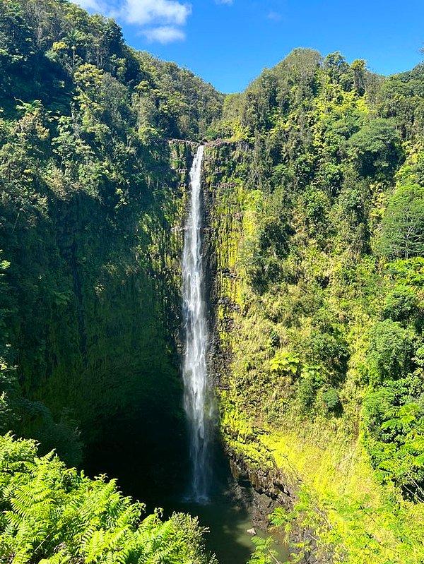 6. Akaka Şelalesi - Hawaii: