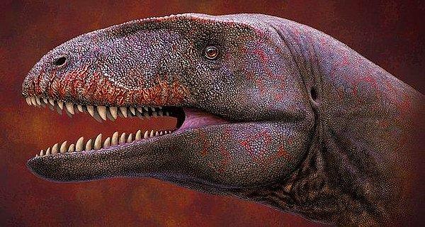 7. “4 yaşındaki kızım ailenin en yaşlı üyesi olan anneannemizi görünce ‘Dinozorlar gerçekten o kadar büyük müydü?’ diye sormuştu.”
