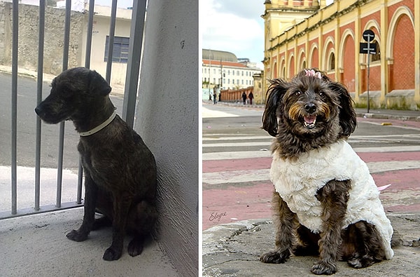 11. Принцесса