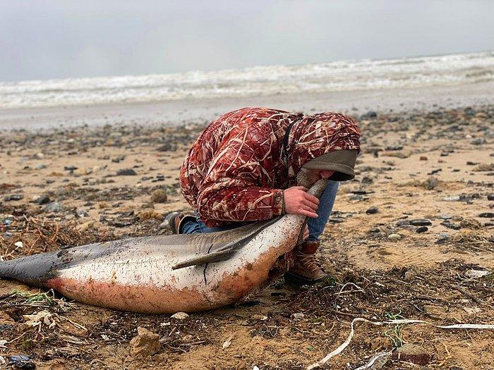 Eyüpsultan Sahilinde Yürek Burkan Görüntü: '1 Haftada 24 Yunus Balığı Kıyıya Vurdu'