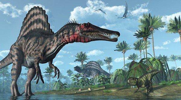 3. Dünyada yaşamış en büyük yırtıcı dinozor olan Spinosaurus’un su altında bile avlanacak kadar yoğun kemik kütlesine sahip olduğu ortaya çıktı.