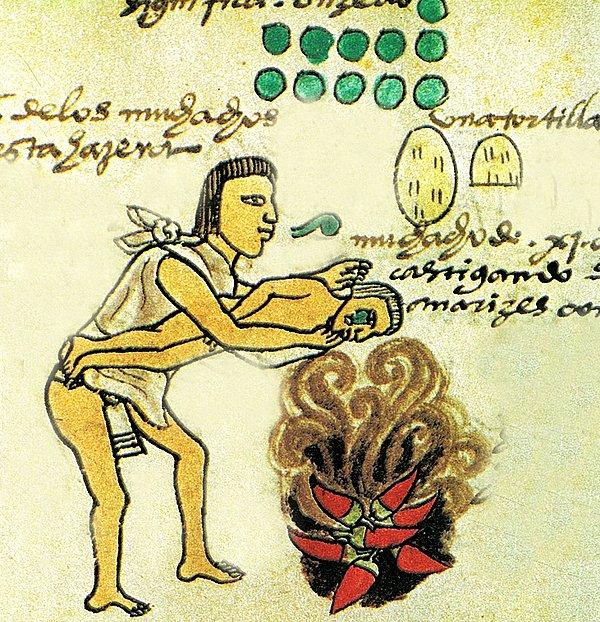 Kırmızı acı biberin 6.500 yıldan daha uzun bir süre önce Meksika'da ortaya çıktığı bilinmektedir. Bu sebeple bu biber aslında bin yıllardır insan beslenmesinin bir parçası.