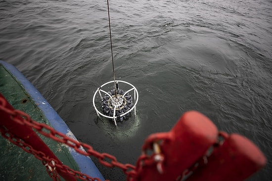 Marmara'yı Bekleyen Tehlike: Bu Kez Müsilaj Değil, Oksijen Krizi