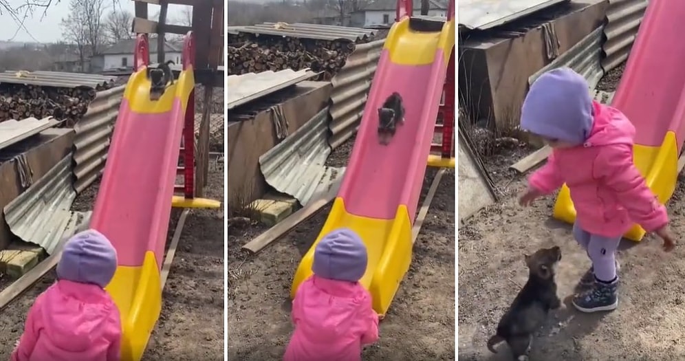 Yavru Köpeği Kaydıraktan Kaydıran Ufaklığın Acayip Eğlendiği Muhteşem Anlar