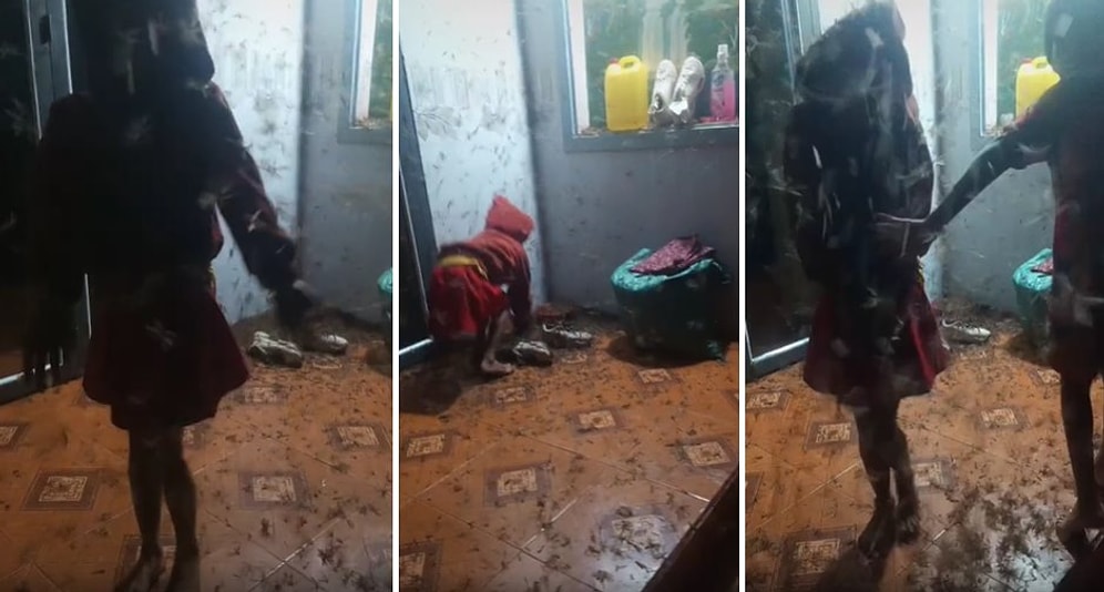 Binlerce Yusufçuğun İçinde Sülalesi Rahat Bir Şekilde Takılan Çocukları İzlerken Nefesiniz Kesilecek!