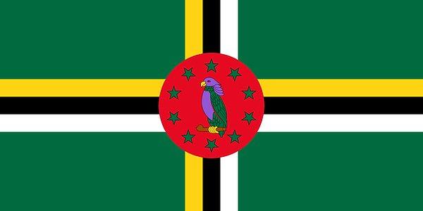1978’den beri kullanılan Dominika bayrağının üzerinde mor bir papağan var.👇