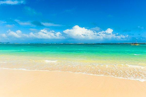 8. "Hawaii'nin tatil cenneti olduğu doğru ama suya girmeden önce dikkatli olmazsanız kendinizi gerçekten cennette bulabilirsiniz."