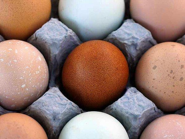 Tüm yumurtalar rengi ne olursa olsun aynı besinsel değere sahiptir.