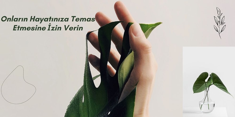 Çiçeklerinizi Coşturup Evinizin Dekorasyonunu Güzelleştiricek En Tarz Saksılar