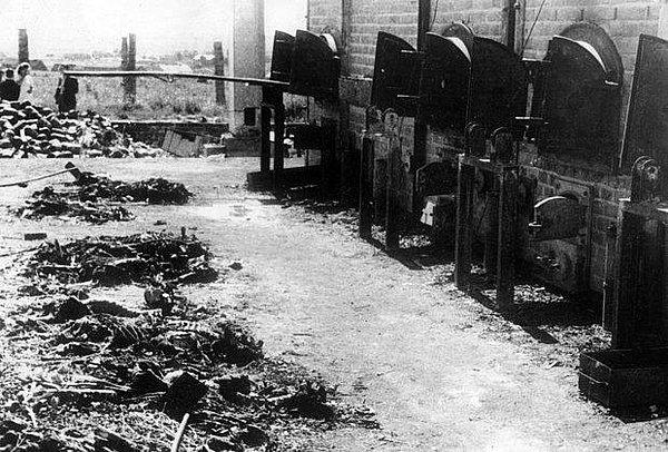 3. Holokost kurbanlarının büyük çoğunluğu kurşuna dizilerek ve gaz odaları ile öldürüldü.