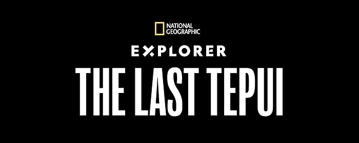 National Geographic in Conjunction With Disney Plus Delivers the Best of Explorer: The Last Tepui