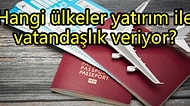 Bizde 400 Bin Dolar: Almanya, Kanada, ABD, Fransa, Japonya Nasıl Vatandaşlık Veriyor?