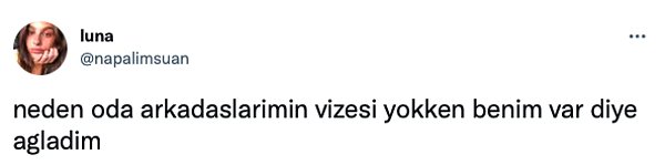 6. Arkadaşlar olmazsa ne yapalım vizeyi...