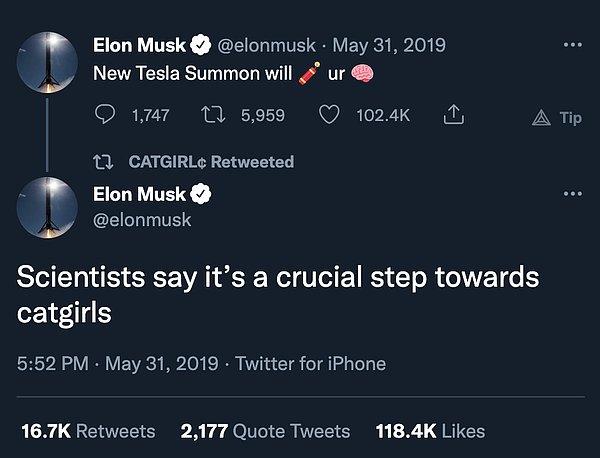 Musk, 2019'da Tesla'daki bir yazılım özelliğini "kedi kızlara doğru atılmış önemli bir adım" diye nitelemişti.