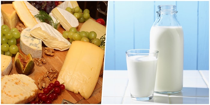 Türkiye Simülasyonunda Sonunda Kimyacı da Olduk! 1 Litre Süt ile 120 TL Değerinde Kaşar Peyniri Yapıyoruz