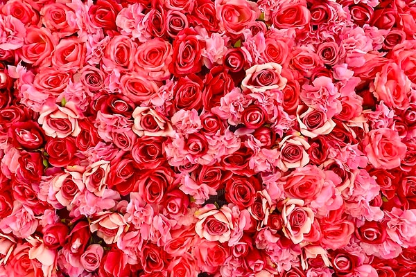 Bu işte usta sayılırsın!