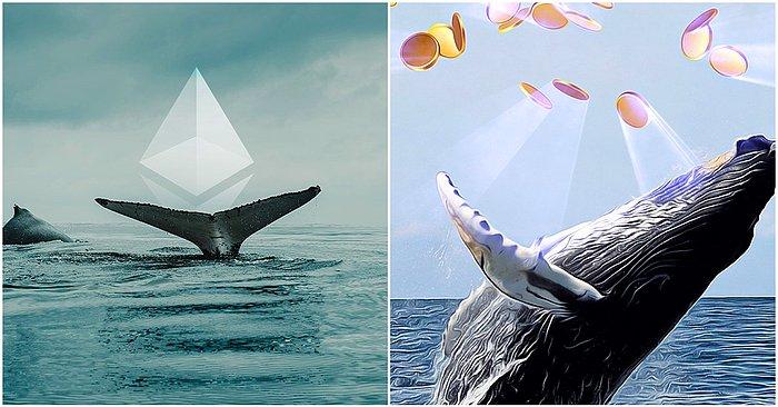 Shiba Inu'yu Satan Ethereum (ETH) Balinaları Bu Altcoinleri Biriktirmeye Devam Ediyor