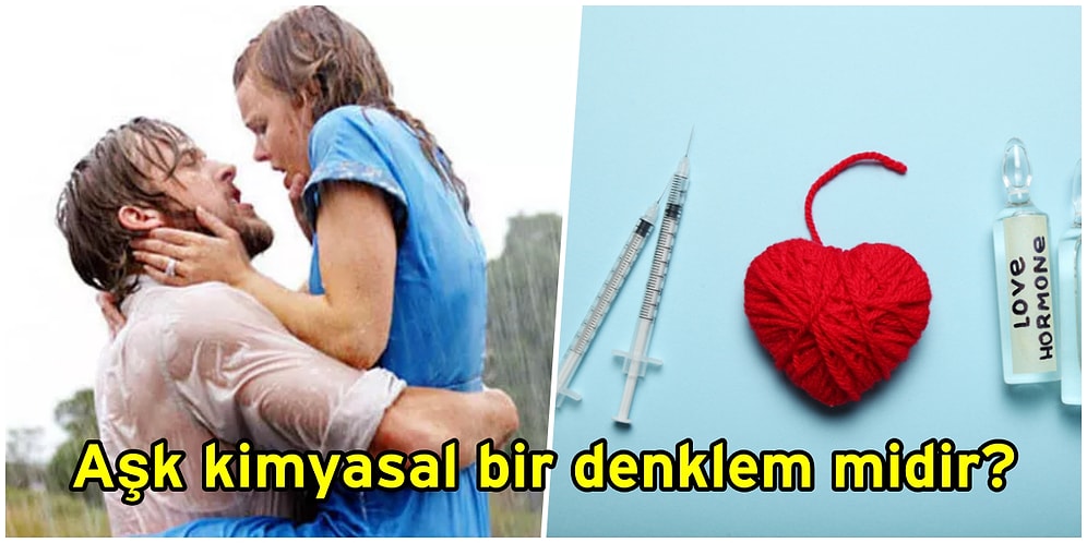 Toplanın Kimyasal Aşk Denklemini Çözüyoruz: Aşk Hormonu Oksitosin Hakkında Bilmeniz Gerekenler