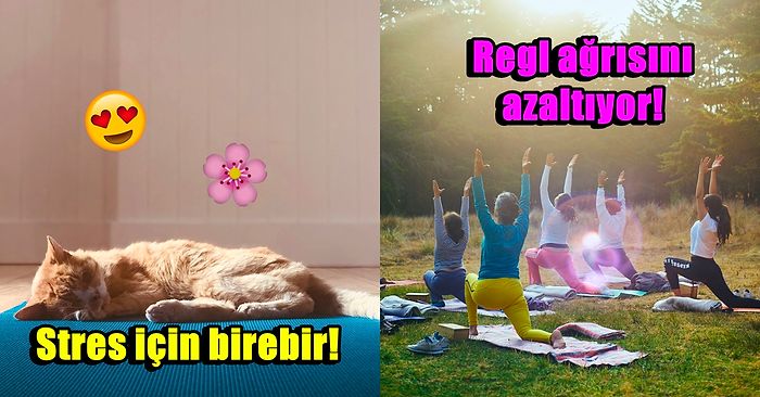 Pilates Yapmanın Vücudunuza Sağladığı Birbirinden Müthiş Faydalarını Öğrenince Hemen Matınıza Sarılacaksınız!